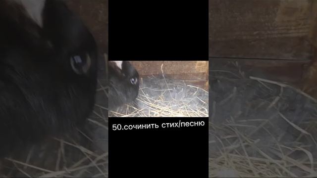 что делать когда скучно?/100 идей/долгожданное видео ?❤️?