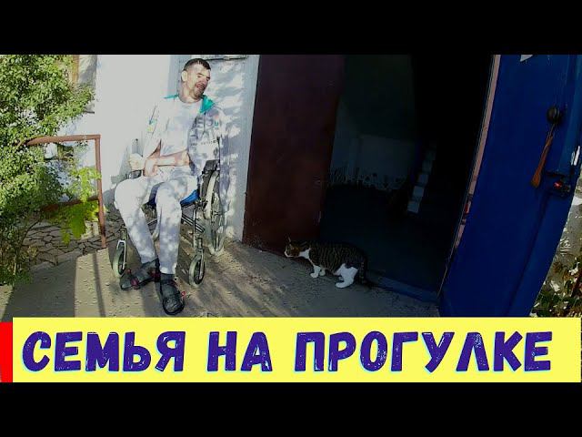 Влог. ПОСЛЕДНИЕ теплые ДЕНЬКИ / Вкусные БЕЛЯШИ