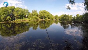 Ловля окуня на джиг. Mottomo Distancia & Mottomo Typhoon 5.5