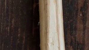 Самодельный охотничий нож испытание.Самодельный охотничий нож в домашних условиях