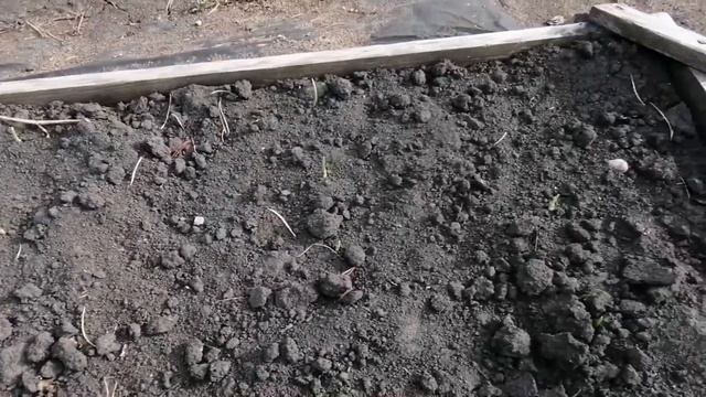 В Тюмени началась огородная движуха ! смотреть онлайн