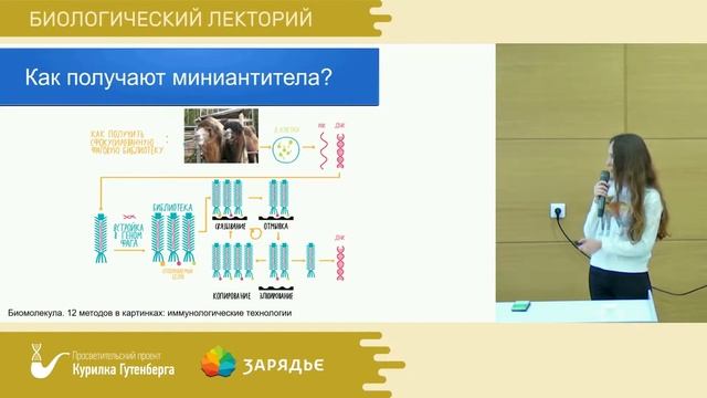 Необычные антитела животных – Оксана Горяйнова