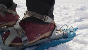 Снегоступы: как выбрать и как ходить?
