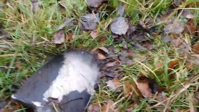 Лайфхак. Избавляемся от прилипания грязи к лопате. смотреть онлайн