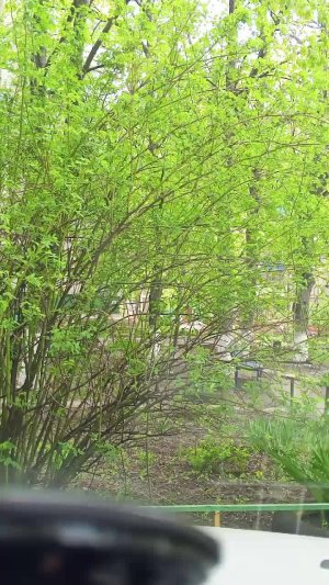 поездка по курску