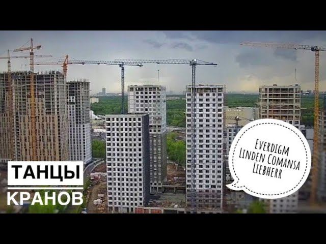 Сиреневый Парк | Лосиноостровский Парк. ТАНЦЫ КРАНОВ. Everdigm. Liebherr. Linden Comansa