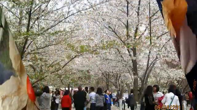 Accordion 3 смотреть онлайн