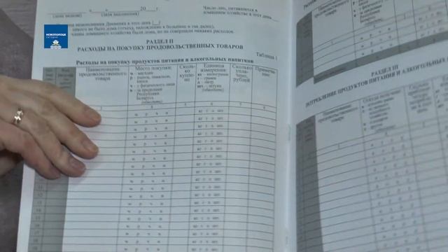 О заполнении журналов при обследовании домашних хозяйств смотреть онлайн