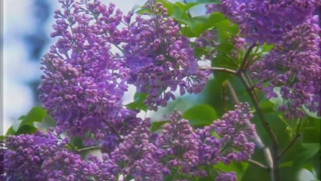 Нижний Новгород. Скоро тебе 800!!! #НиНо800 смотреть онлайн