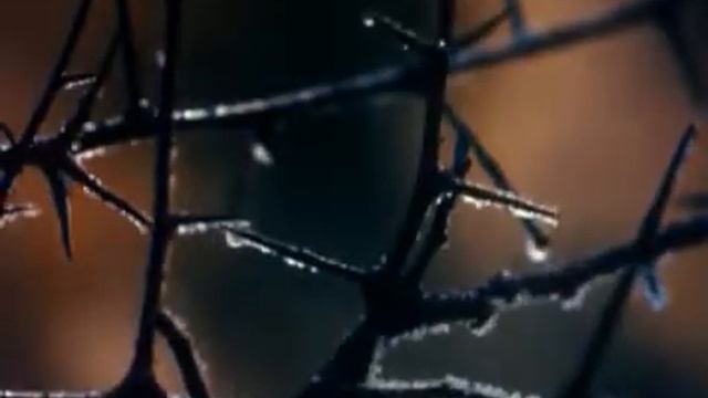 47 Прелюдия Ре бемоль мажор Фредерик Шопен смотреть онлайн