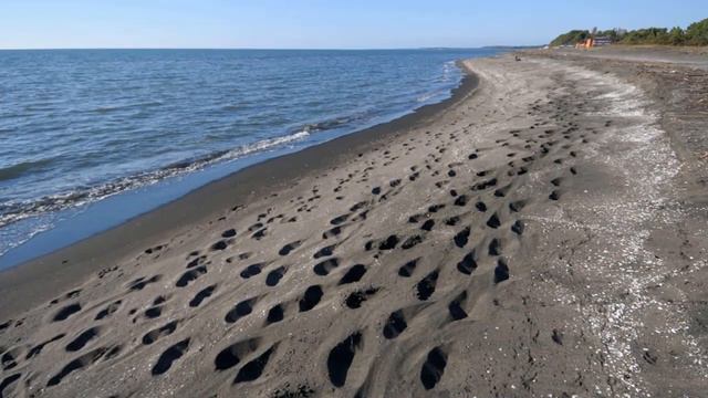 Батуми/Встреча с друзьями #2