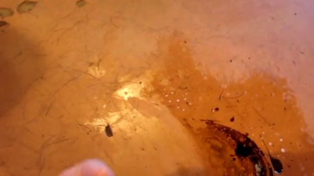 Чем удалить масляные пятна смотреть онлайн