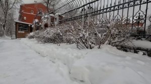 Владивосток после снегопада превратился в снежное царство #владивосток#снег#зима#природа#воздух#