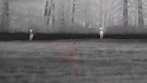 Тепловизионный прицел HTI C18 демонстрация
