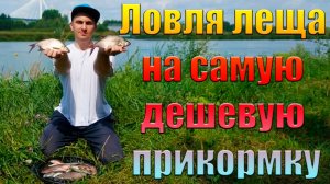 ЭКСПЕРИМЕНТ!!! Ловля леща на МАКСИМАЛЬНО бюджетный корм с добавлением зерновых