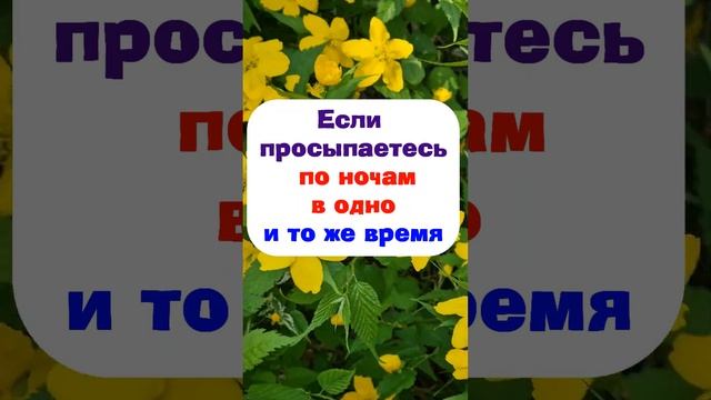 От чего хочет уберечь Вселенная, если стали часто просыпаться по ночам в одно и то же время