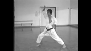 Hirokazu Kanazawa ? KARATE 2022 ? - Shotokan Karate