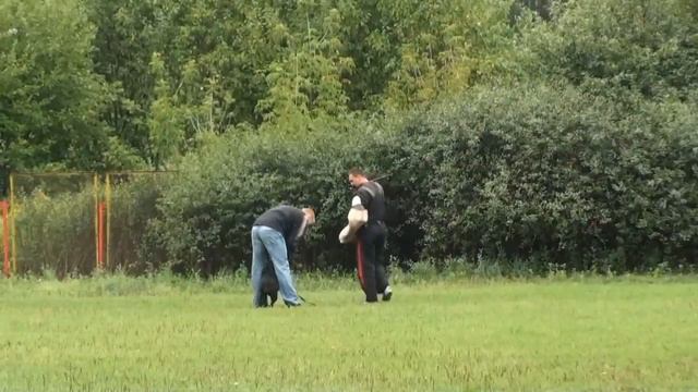 Teraline Montera смотреть онлайн