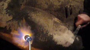 Как палить поросенка