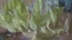 Цветы из листьев кукурузы -Flowers from corn