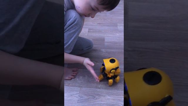 Как работает робот ТОББИ. Робототехника от Феди Халка. смотреть онлайн