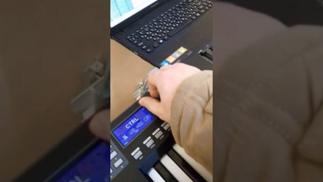 Миди клавиатура world panda 61 смотреть онлайн