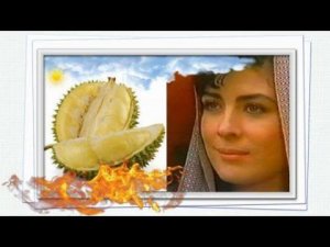 Хуньчунь / Живём в гостинице Мария / Мои покупки / май 2024