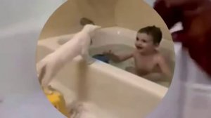 Тhe kid with the dog in the bathroom.  Малыш в ванной с собакой.