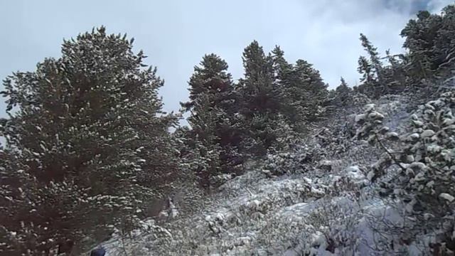 Теректинский хребет. Выпал снег. смотреть онлайн