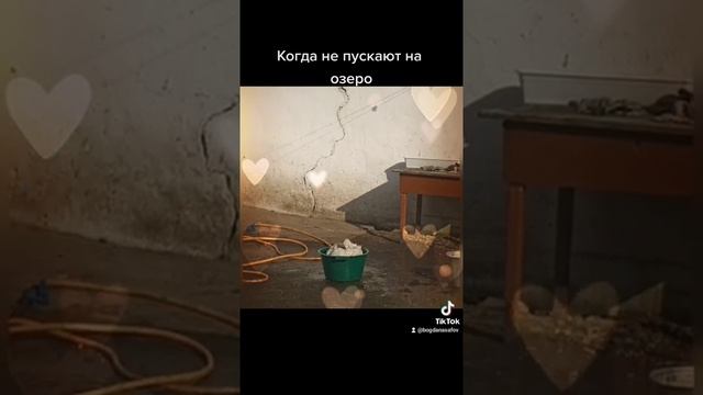 гуси купаются когда нет рядом озера