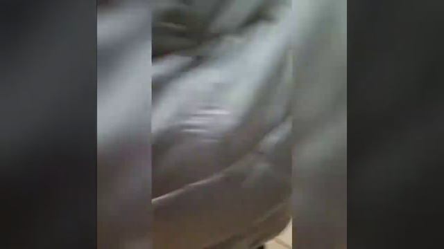 Выставка тюльпанов "Репетиция весны" в Аптекарском огороде.