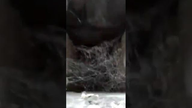 Чистка вентиляционного канала