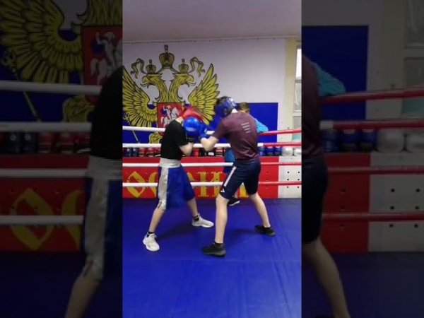#shorts #boxing