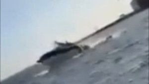 ВСМЯТКУ! КИТ Выпрыгнул из воды ПРЯМО НА ЯХТУ