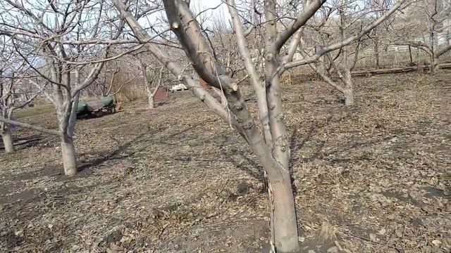 Кур будем менять/ куры на даче/ смотреть онлайн