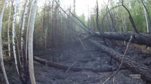 Пожары, в которых гибнут люди