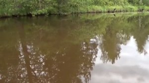 Вепсская земля, Карелия, посёлок Кварцитный.