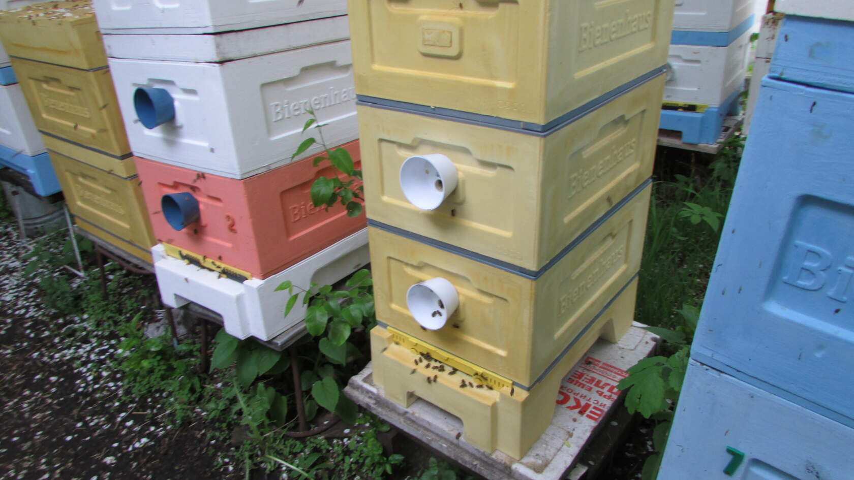 улей Кука от фирмы BienenHaus - 8 рамочный улей на рутовскую рамку, дачников и пчеловодов любителей