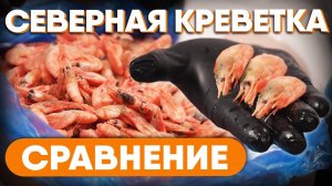 ОБЗОР и Сравнение северных креветок и гренландских креветок