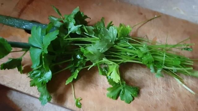 Влог с Чудского озера.Мама по вам соскучилась!Красивое озеро!Малокалорийный суп на обед.Мою машину смотреть онлайн