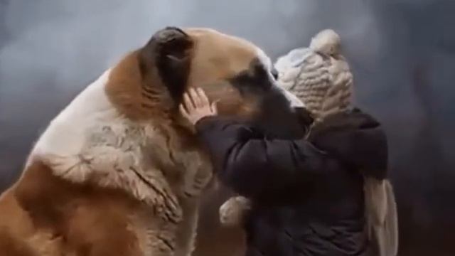 Нежность смотреть онлайн