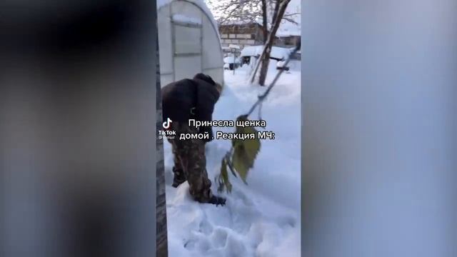 ЧТО ЭТО БЫЛО?? СМЕШНЫЕ МОМЕНТЫ, СМЕШНЫЕ ЛЮДИ, СМЕШНЫЕ ВИДЕО ПО РУССКИ