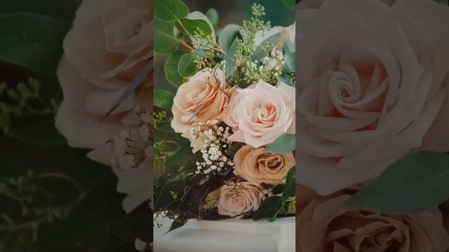 ТЫ БОЛЬШЕ НЕ ВПИШЕШЬСЯ. Ассаф Жорж. смотреть онлайн