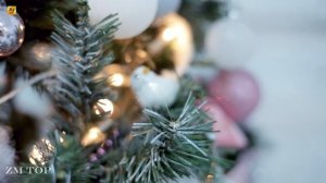 SHYLN - Keep Balance