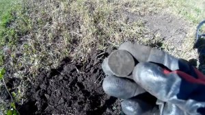 ПОИСК МОНЕТ НА ДНЕ БАРСКОГО ПРУДА!!!!!