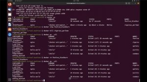 Docker Containers: Docker install, Creating Docker containers, Using Docker Commands