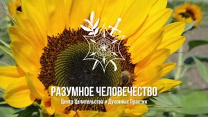 Глисты