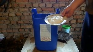 Выделка шкур бобра.