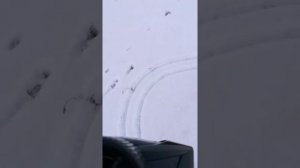 Машина на пульте управления по снегу