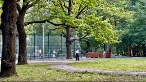 Летний вечерний парк "Дубки". Красивые клумбы. Нижний Новгород.